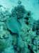 dsc05611_small.jpg