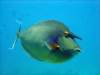 dsc05612_small.jpg