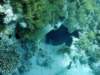 dsc05613_small.jpg