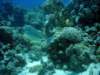 dsc05616_small.jpg