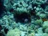 dsc05617_small.jpg