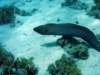 dsc05619_small.jpg