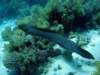 dsc05620_small.jpg