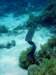 dsc05621_small.jpg