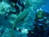 dsc05622_small.jpg