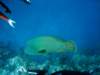 dsc05623_small.jpg
