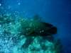 dsc05624_small.jpg