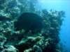 dsc05625_small.jpg