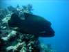 dsc05626_small.jpg