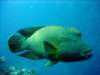 dsc05627_small.jpg