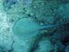 dsc05629_small.jpg