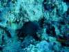 dsc05630_small.jpg