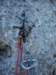 dsc05640_small.jpg
