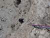 dsc05674_small.jpg