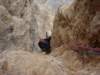 dsc05687_small.jpg