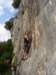 dsc05701_small.jpg