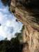 dsc05704_small.jpg
