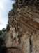 dsc05708_small.jpg