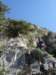 dsc05733_small.jpg