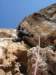 dsc05735_small.jpg