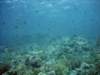 dsc05737_small.jpg