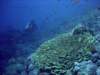 dsc05738_small.jpg