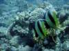 dsc05742_small.jpg