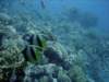 dsc05743_small.jpg