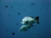 dsc05744_small.jpg