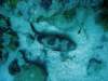 dsc05748_small.jpg