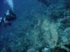 dsc05749_small.jpg