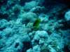 dsc05750_small.jpg