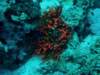 dsc05752_small.jpg