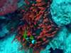 dsc05753_small.jpg