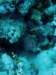 dsc05754_small.jpg
