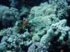 dsc05762_small.jpg