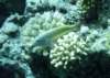 dsc05763_small.jpg