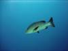 dsc05764_small.jpg