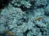 dsc05765_small.jpg