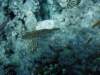 dsc05766_small.jpg