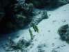 dsc05767_small.jpg