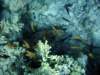dsc05770_small.jpg