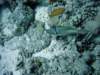 dsc05771_small.jpg