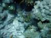 dsc05772_small.jpg