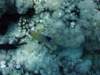 dsc05773_small.jpg