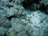 dsc05774_small.jpg