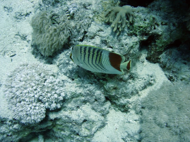 dsc05775.jpg