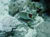 dsc05775_small.jpg