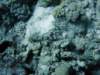 dsc05776_small.jpg