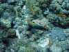 dsc05779_small.jpg